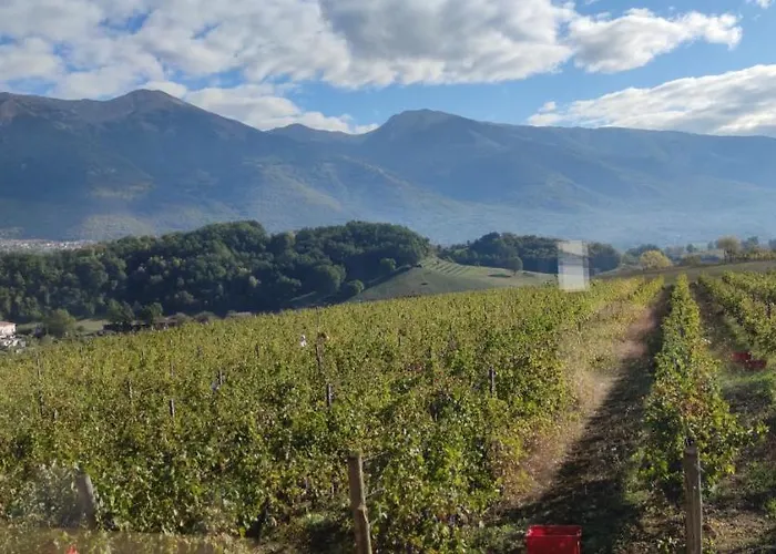 Aparthotel Vigna Al Parco Alvito