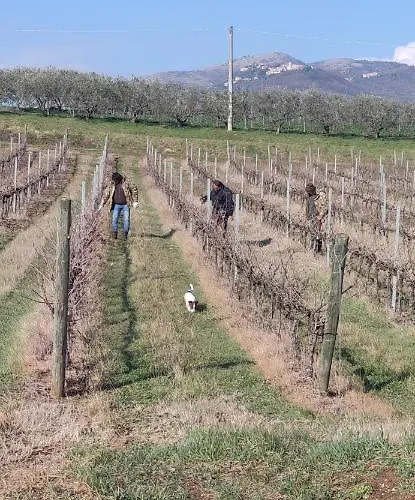 Aparthotel Vigna Al Parco