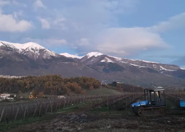 Aparthotel Vigna Al Parco Alvito